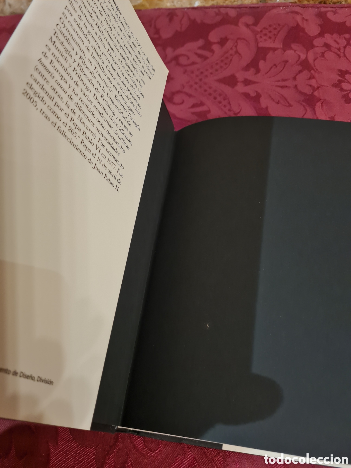 Libros: BENEDICTO XVI Nadar contra corriente - Foto 4