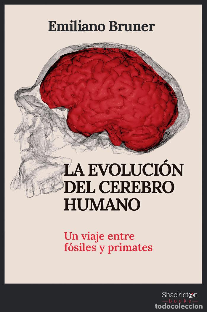Libri: EVOLUCION DEL CEREBRO HUMANO,LA - BRUNER, EMILIANO