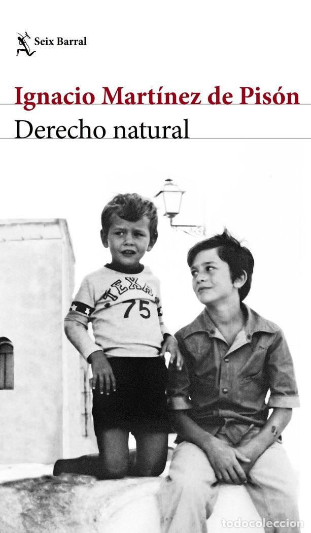 Libri: DERECHO NATURAL - MARTINEZ DE PISON, IGNACIO