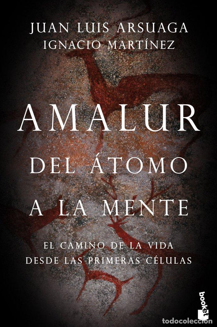 B&uuml;cher: AMALUR - IGNACIO MARTINEZ
