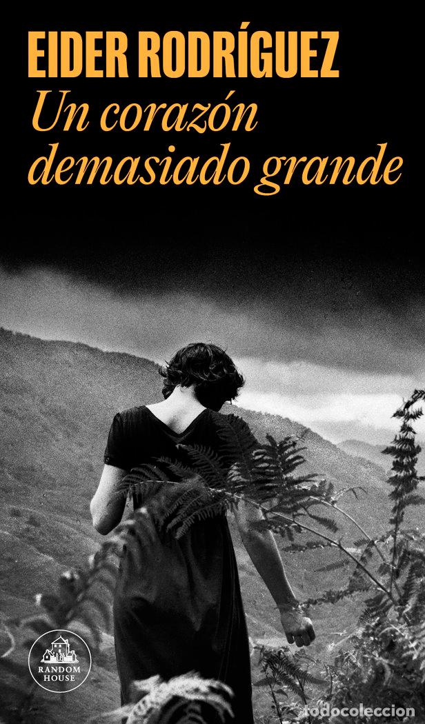 Libros: UN CORAZON DEMASIADO GRANDE - RODRIGUEZ, EIDER