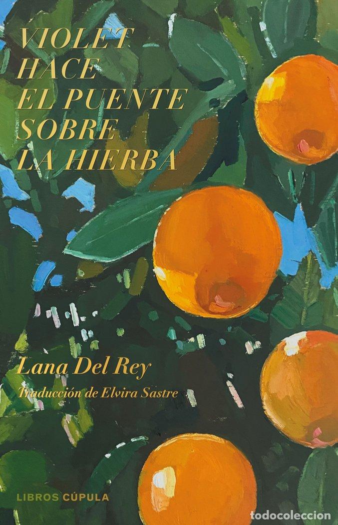 Libri: VIOLET HACE EL PUENTE SOBRE LA HIERBA - Del Rey, Lana