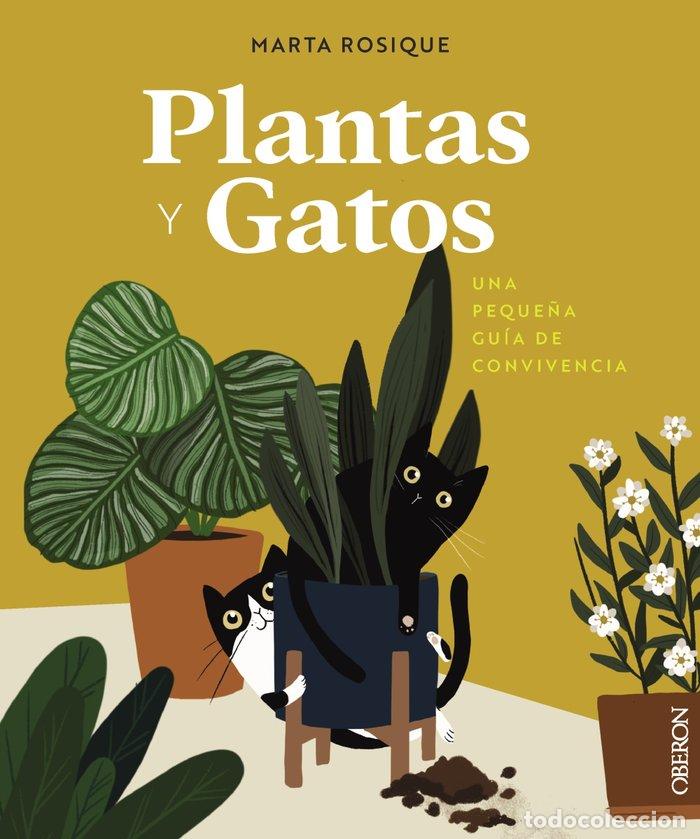 B&uuml;cher: PLANTAS Y GATOS - ROSIQUE, MARTA