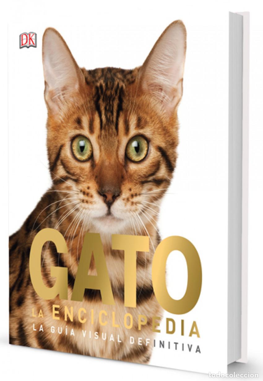 Libri: GATO - VV.AA........
