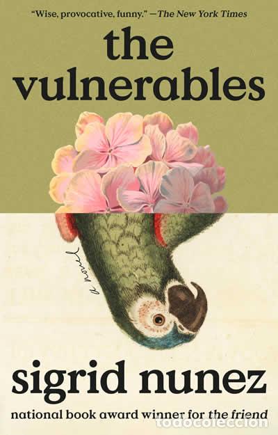 Libri: THE VULNERABLES - NUNEZ, SIGRID