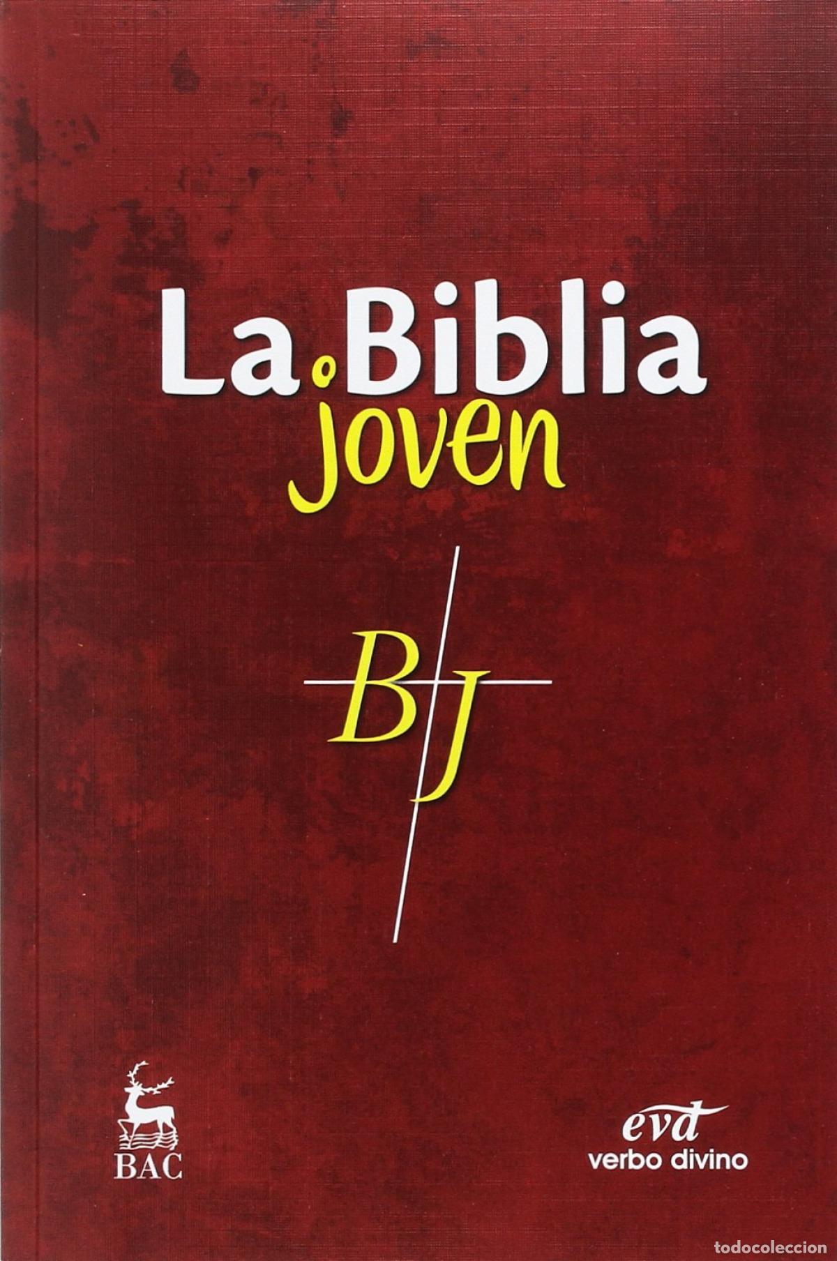 Libros: LA BIBLIA JOVEN - VV.AA.