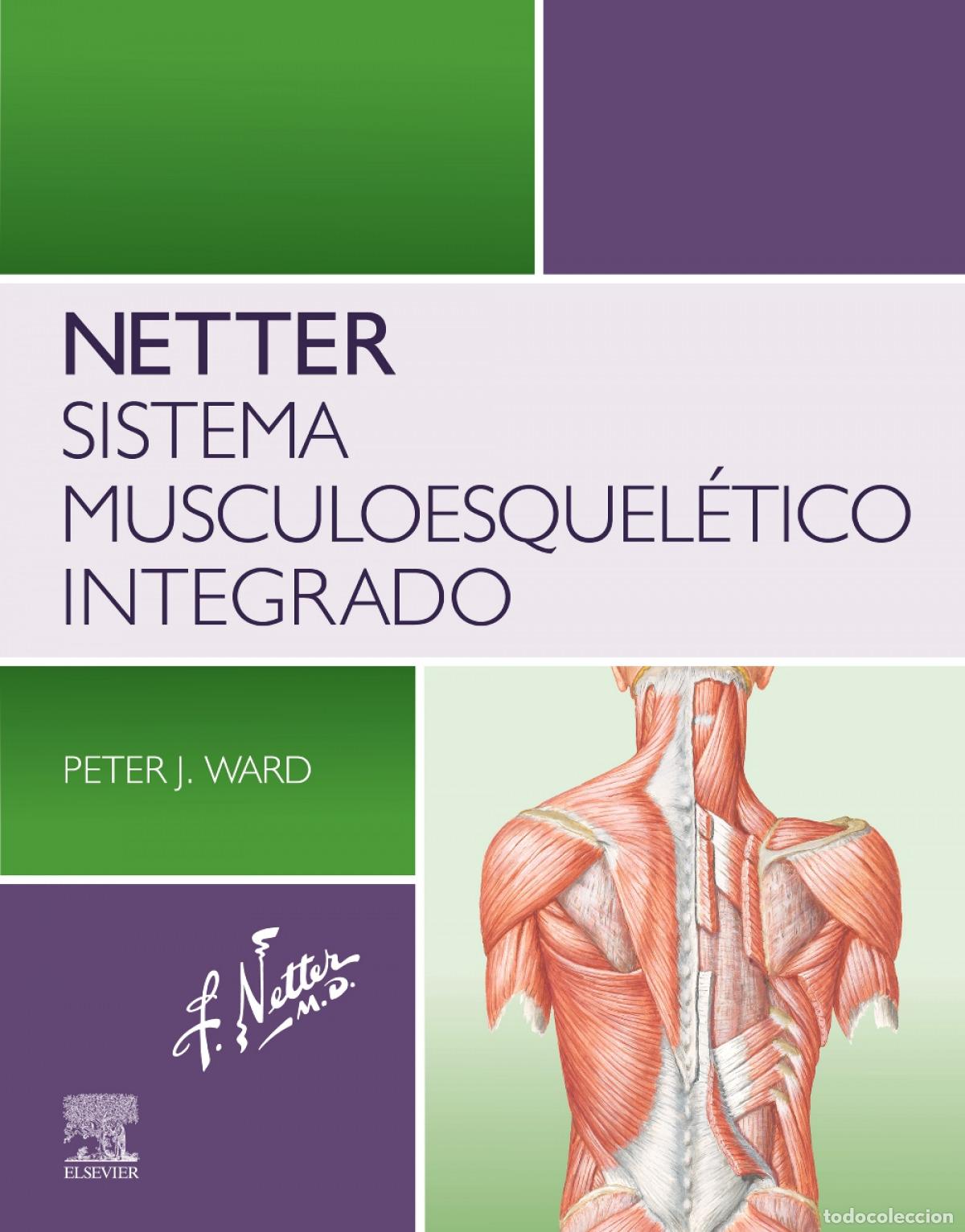 B&uuml;cher: NETTER SISTEMA MUSCULOESQUELETICO INTEGRADO - Anatomia