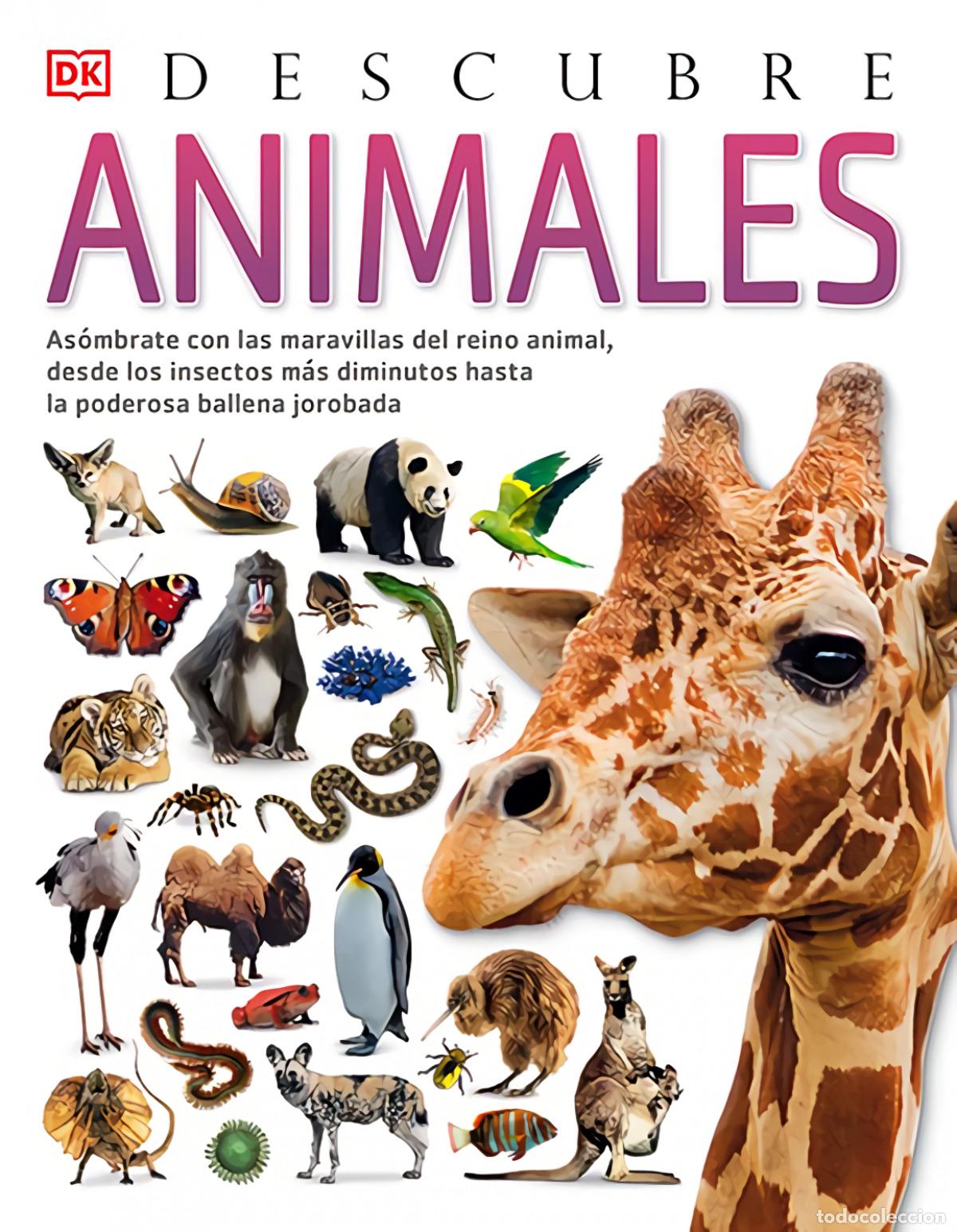 Libri: ANIMALES, DESCUBRE - Jackson, Tom