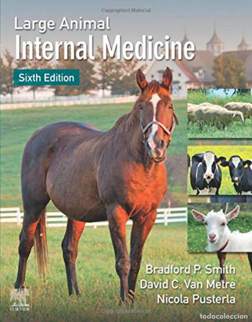Libri: LARGE ANIMAL INTERNAL MEDICINE - Smith