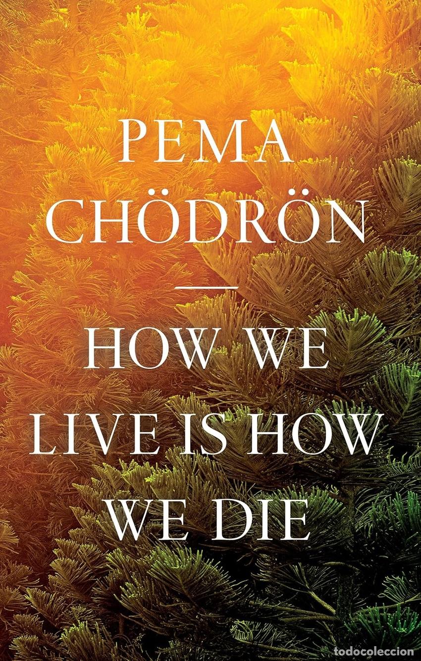 Libri: (CHODRON).HOW WE LIVE IS HOW WE DIE (PENGUIN USA) - CHODRON, PEMA