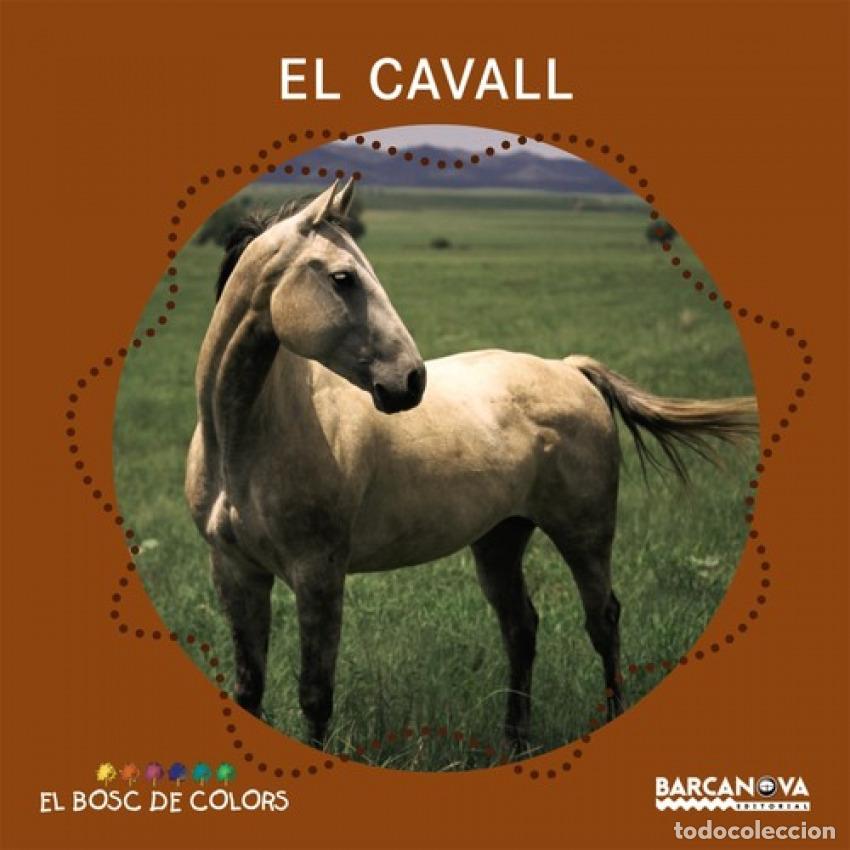 B&uuml;cher: EL CAVALL - Bald&oacute;, Estel