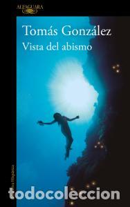 books: Vista del abismo - Gonzalez,tomas