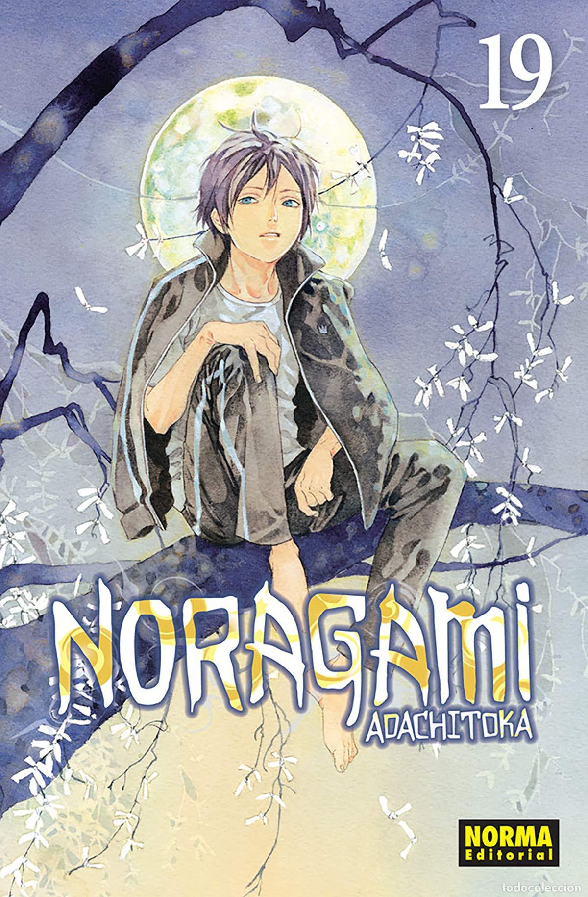 Libri: NORAGAMI 19 - Adachitoka