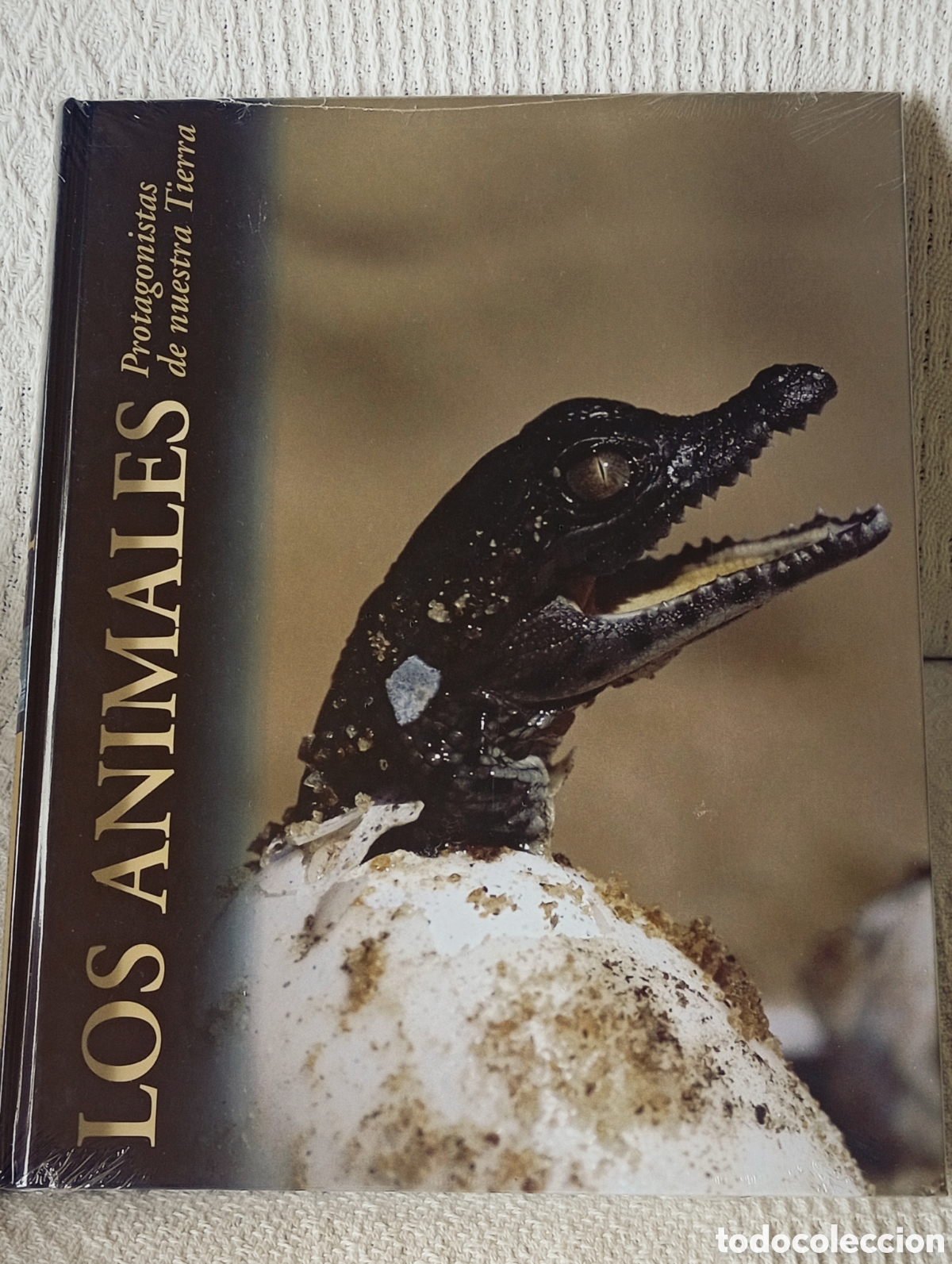 Libros: Los animales protagonistas de nuestra tierra. Espacios h&uacute;medos.edici&oacute;n Rueda Precintado