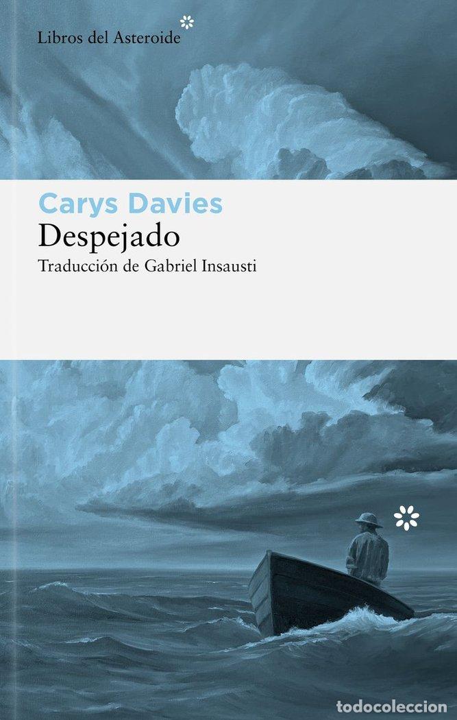 Libros: DESPEJADO - Davies, Carys - Foto 1