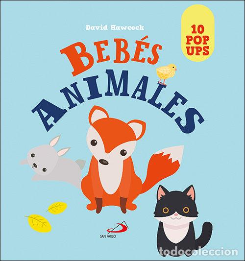 books: BEBES ANIMALES - HAWCOCK, DAVID