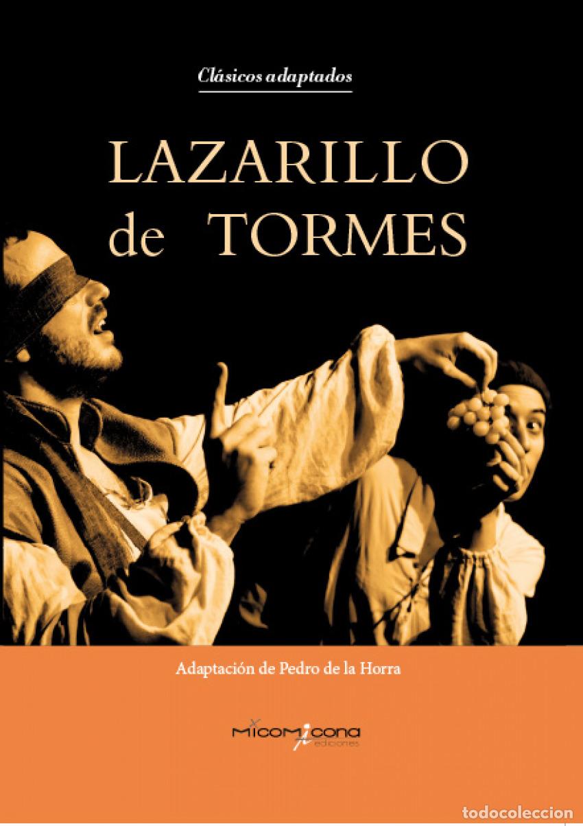 Libros: LAZARILLO DE TORMES - VV.AA. [Libro de texto] - Foto 1