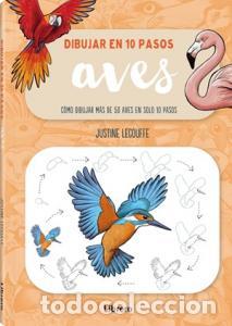 Libri: Dibujar aves en 10 pasos - Lecouffe, Justine
