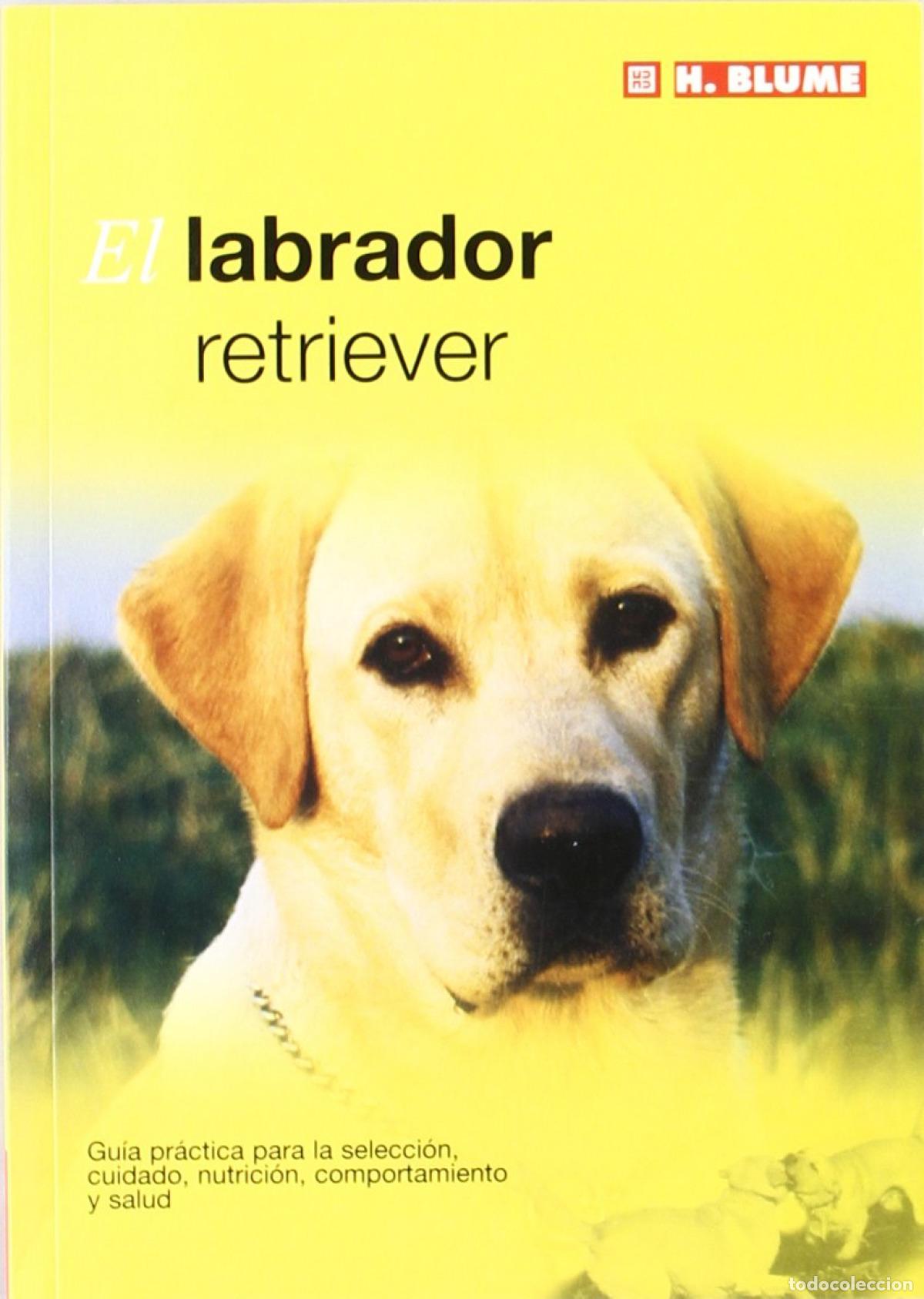 Livres: LABRADOR RETRIEVER - Varios autores