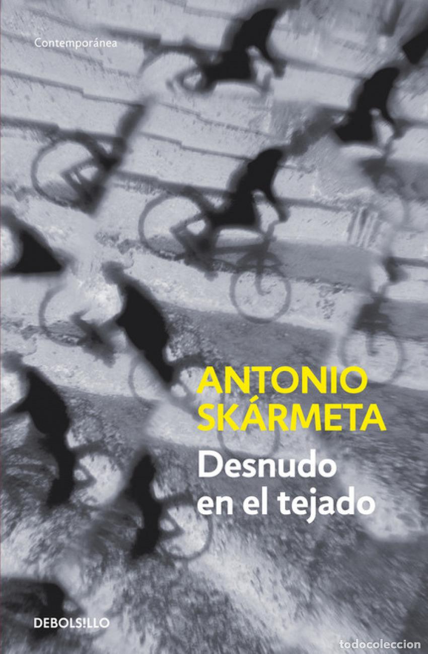 B&uuml;cher: DESNUDO EN EL TEJADO - Skarmeta, Antonio