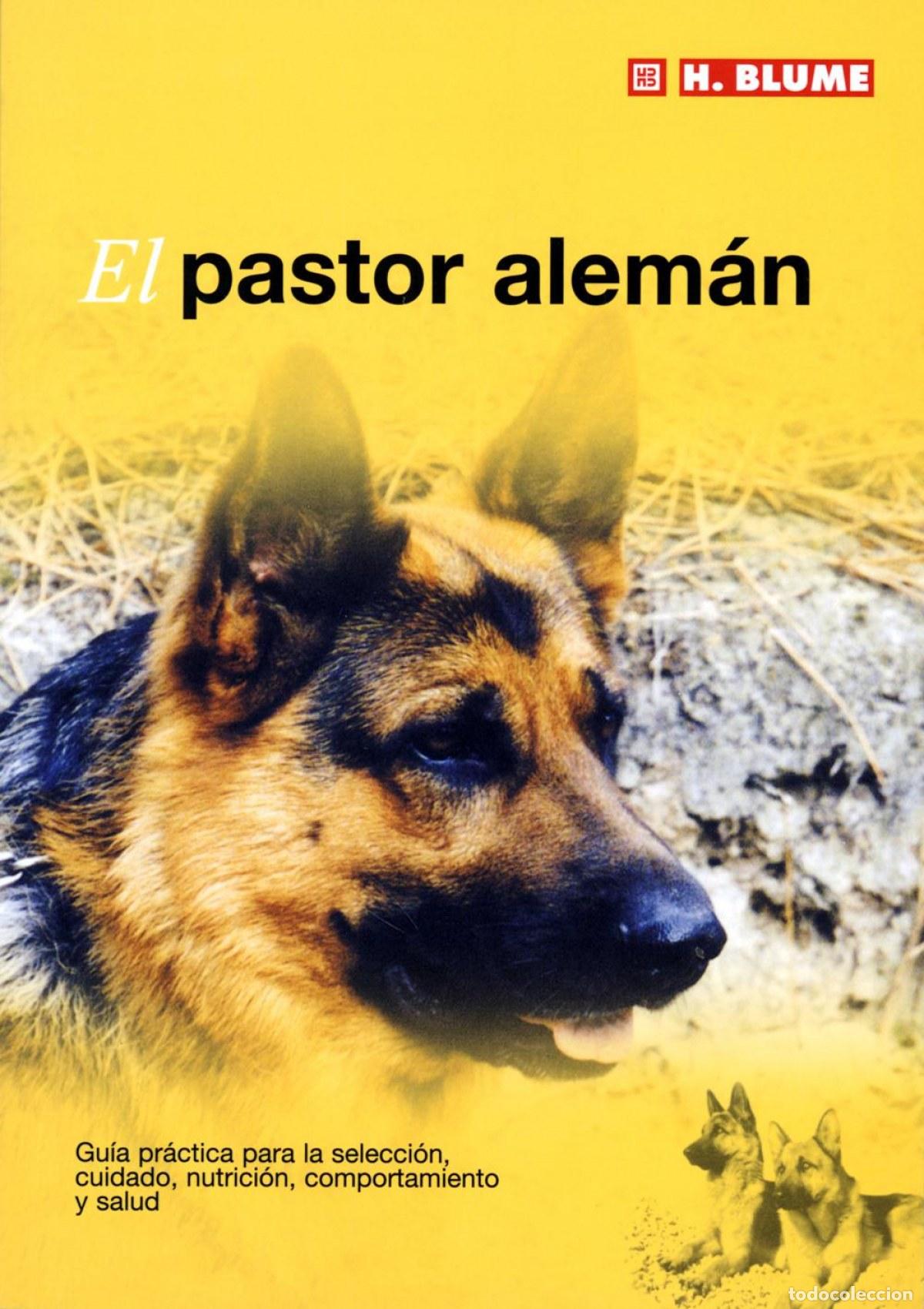 books: PASTOR ALEMAN - George, David