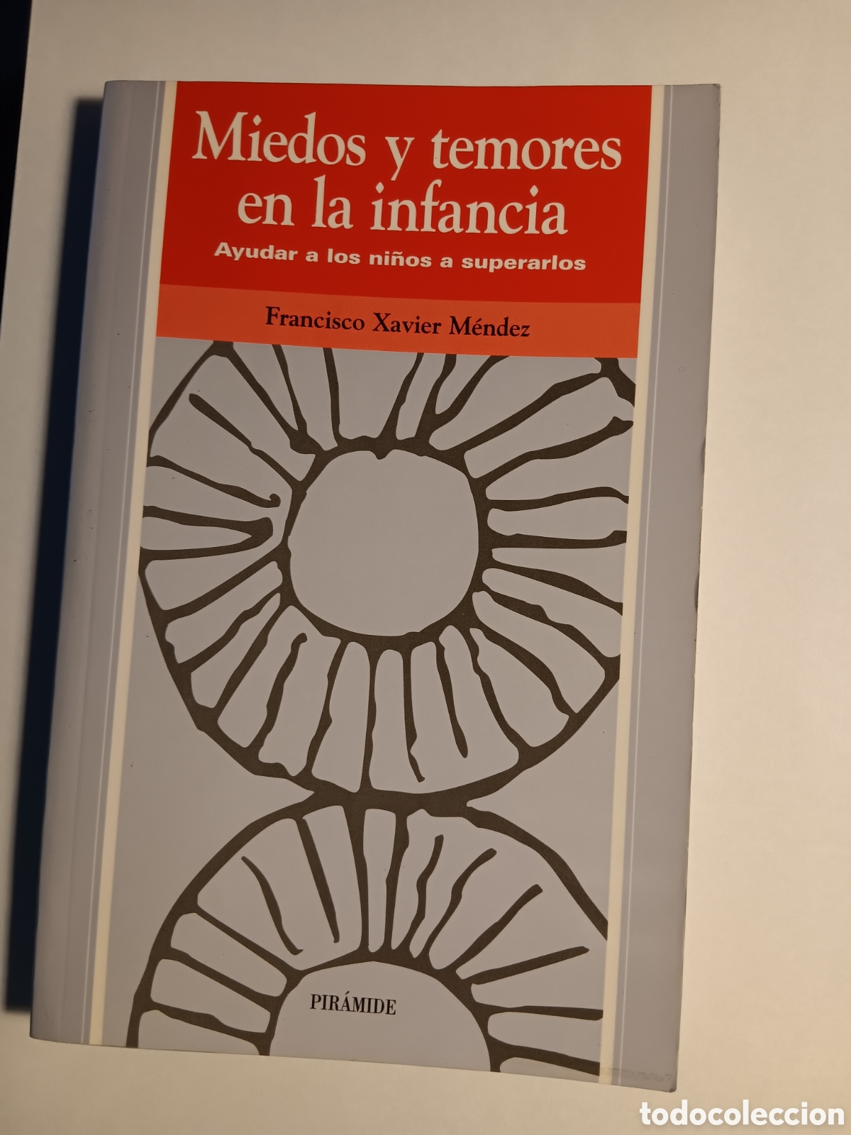 Livros: MIEDOS Y TEMORES DE LA INFANCIA