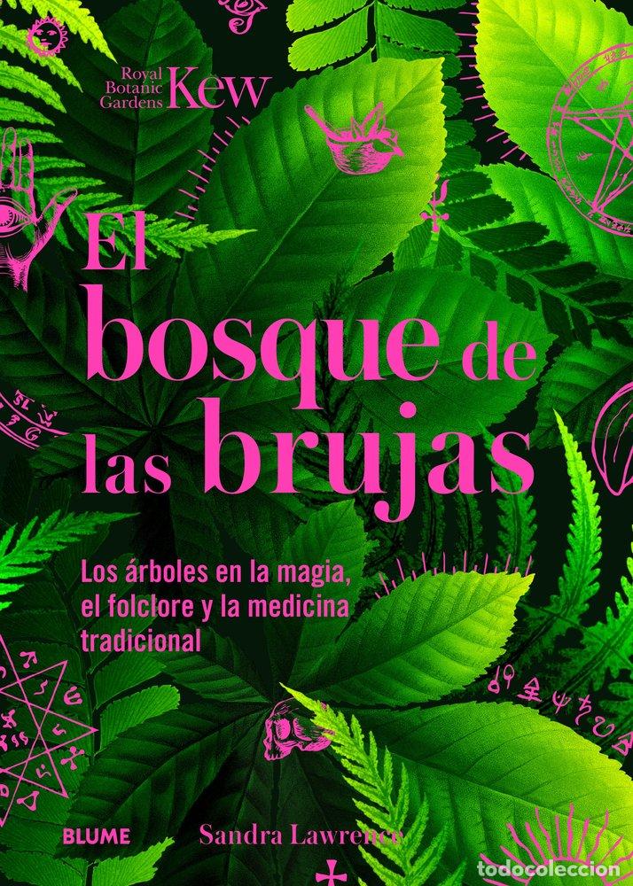 B&uuml;cher: BOSQUE DE LAS BRUJAS - LAWRENCE, SANDRA