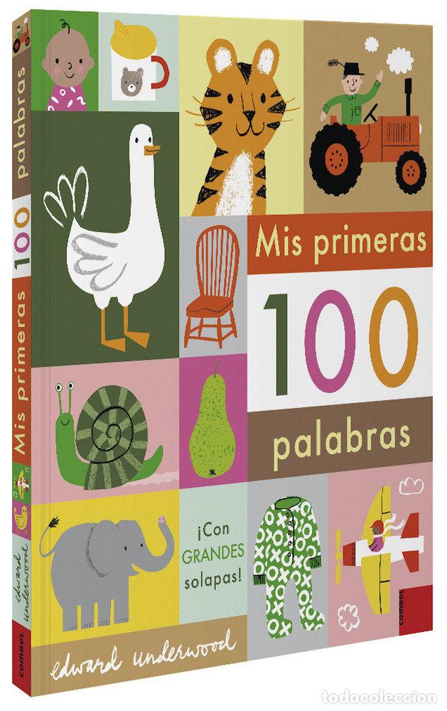 Libri: MIS PRIMERAS 100 PALABRAS - AA.VV