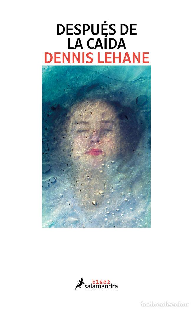 books: DESPUES DE LA CAIDA - LEHANE, DENNIS