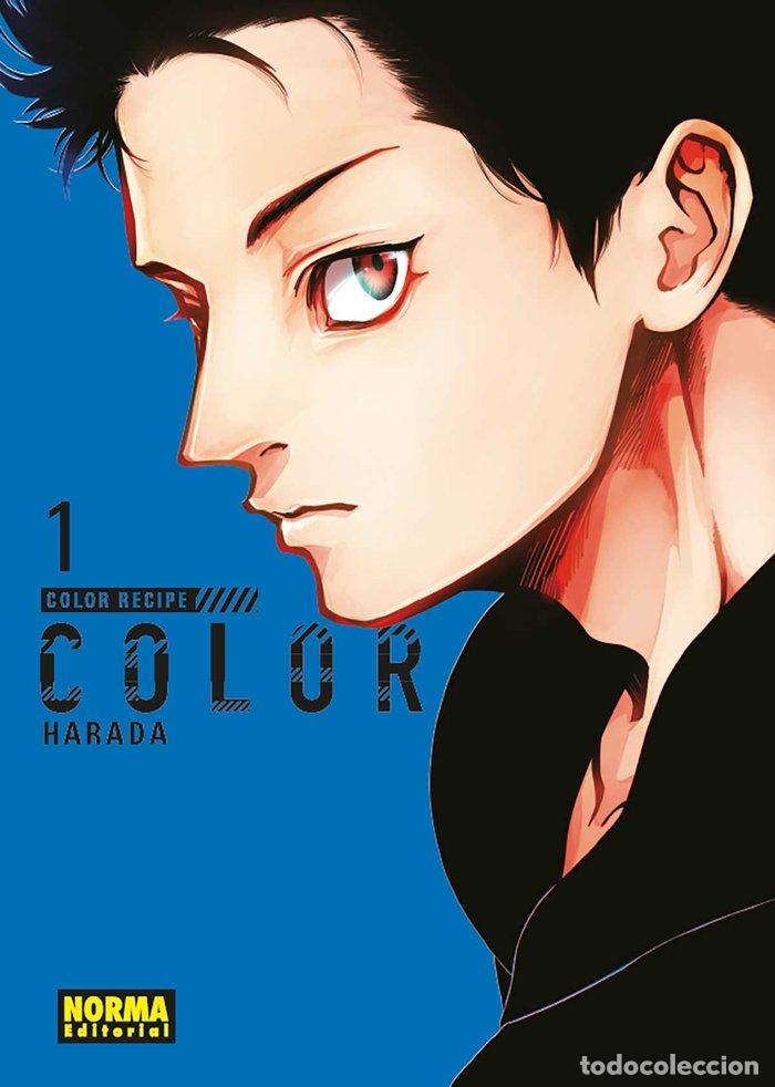 B&uuml;cher: COLOR RECIPE 1 - HARADA