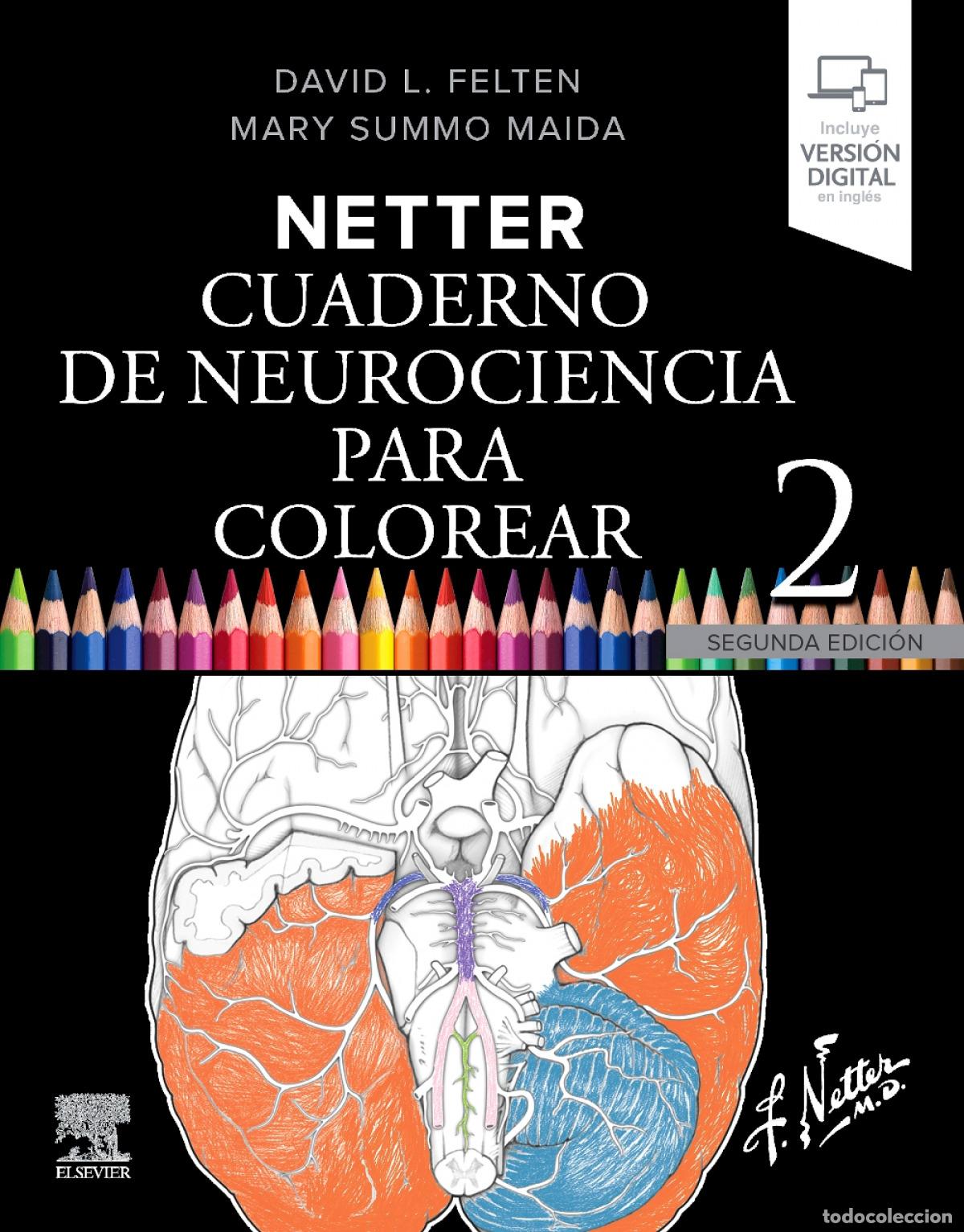 Libros: NETTER:CUADERNO NEUROCIENCIA PARA COLOREAR - Felten