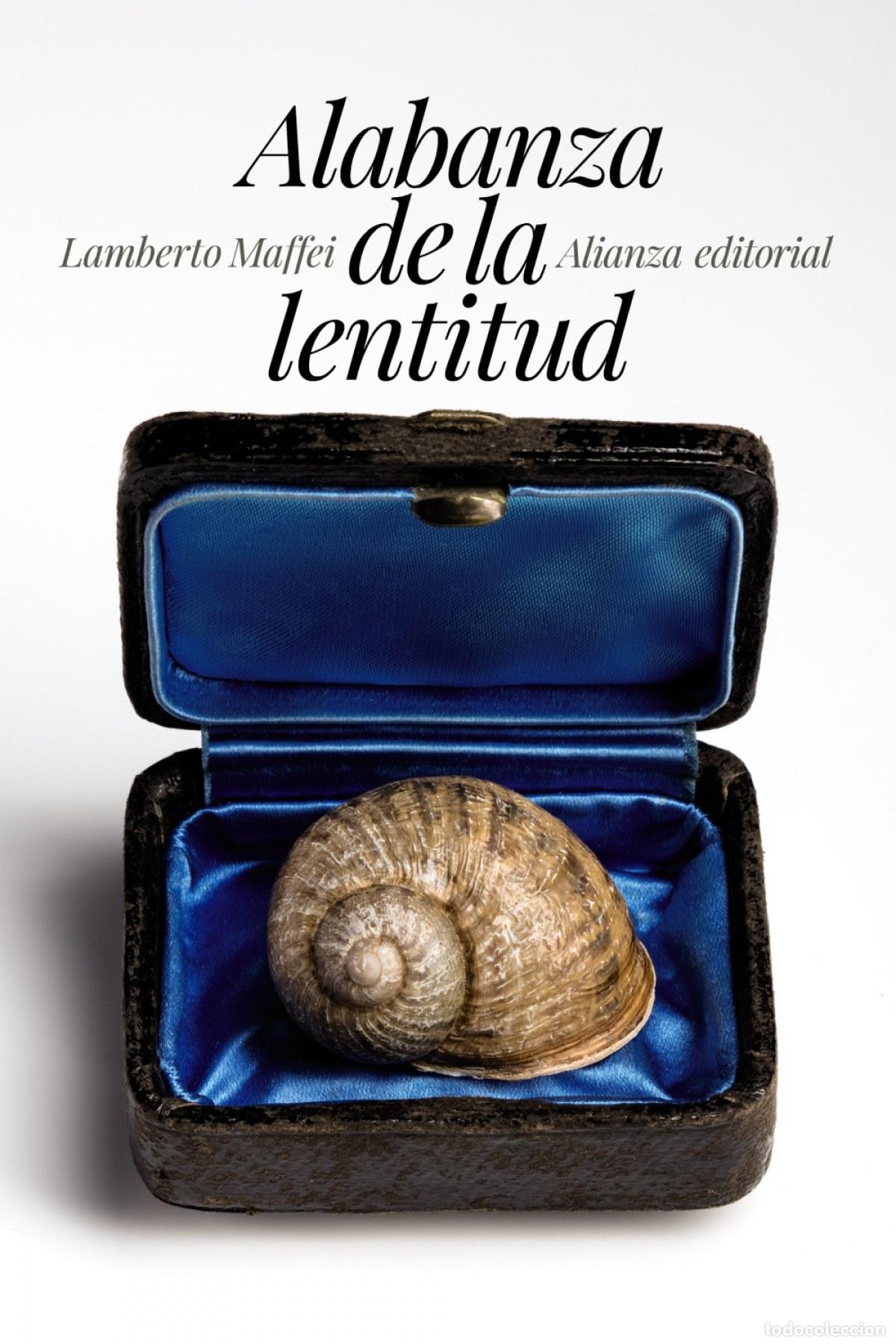 B&uuml;cher: ALABANZA DE LA LENTITUD - Maffei, Lamberto