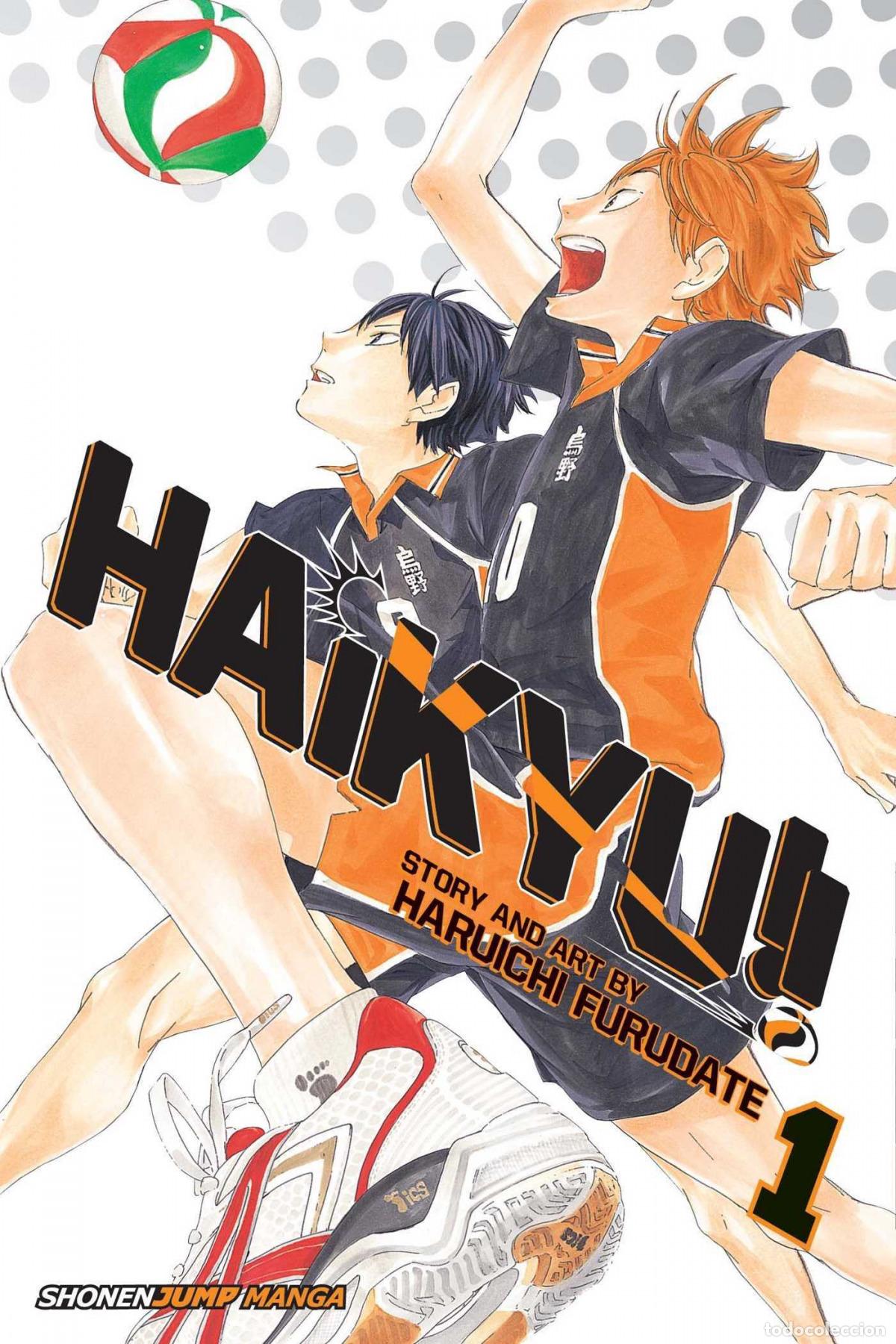 Libri: (1) HAIKYU!! - Furudate, Haruichi
