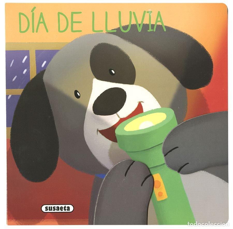 Libros: D&Iacute;A DE LLUVIA - Ediciones Susaeta - Foto 1