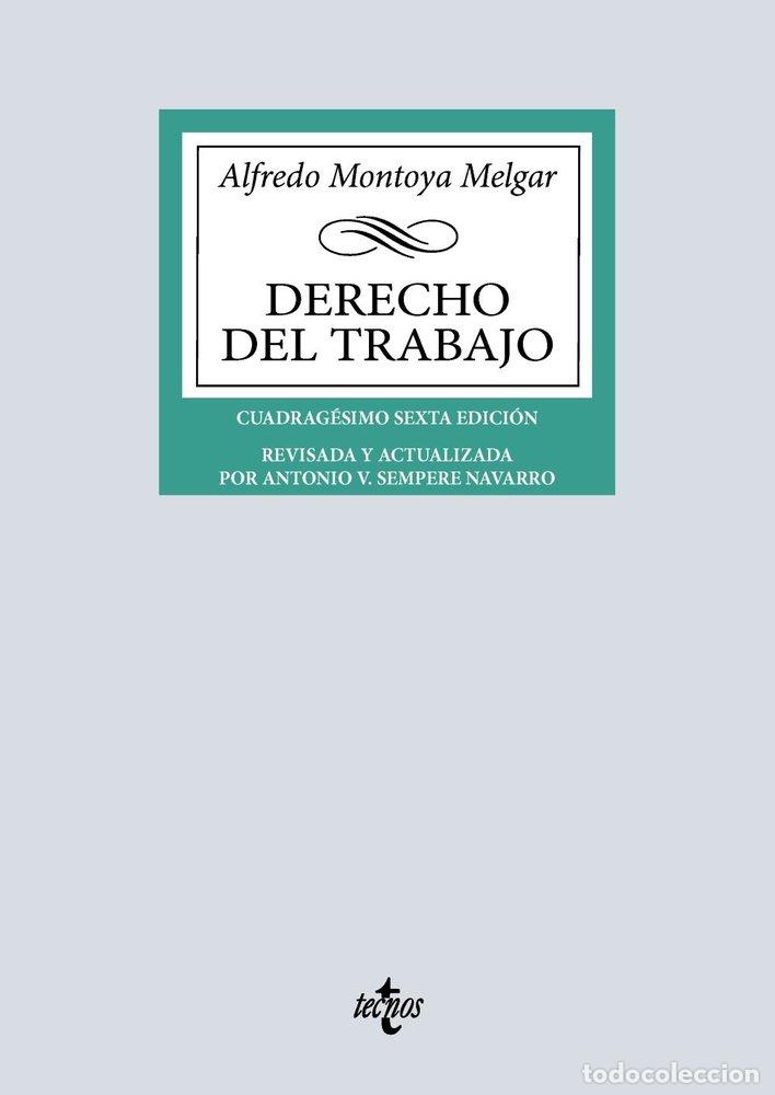 Livres: DERECHO DEL TRABAJO - MONTOYA MELGAR, ALFREDO