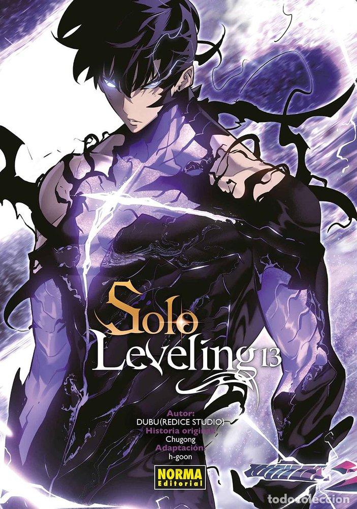 B&uuml;cher: SOLO LEVELING 13 - CHUGONG