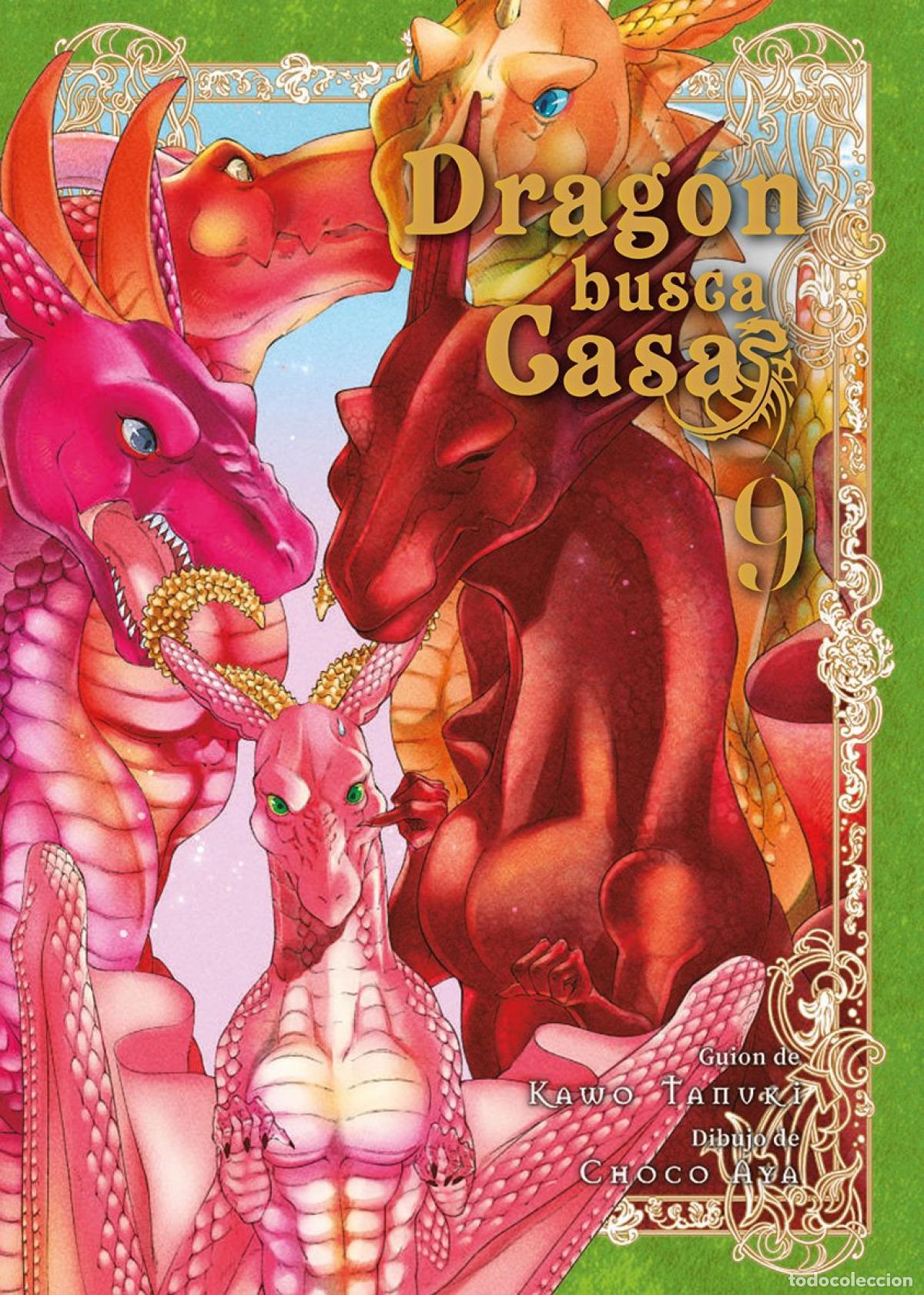 Libri: DRAG&Oacute;N BUSCA CASA - Tanuki, Kawo