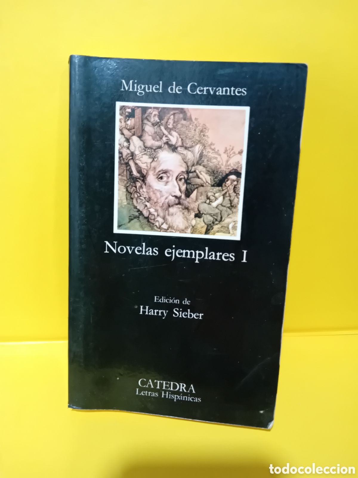 Libri: Novelas Ejemplares I, Miguel de Cervantes Saavedra, Ed. C&aacute;tedra