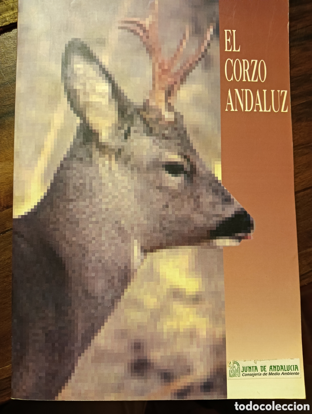 Libros: El corzo andaluz caza