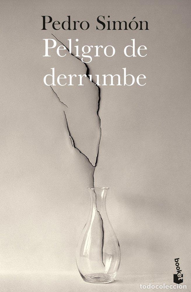 Libros: PELIGRO DE DERRUMBE - Pedro Sim&oacute;n - Foto 1