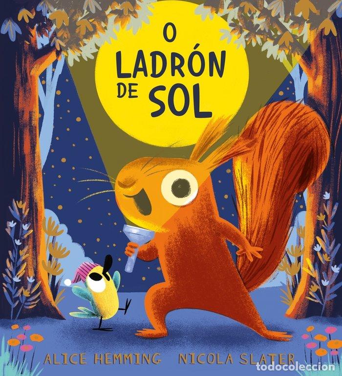 Libri: O LADRON DE SOL - HEMMING, ALICE