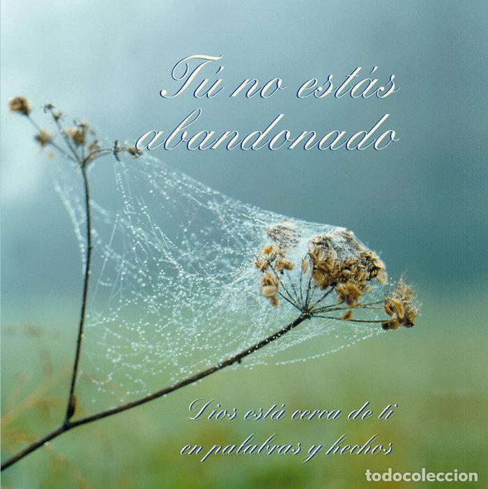 books: TU NO ESTAS ABANDONADO - ., GABRIELE