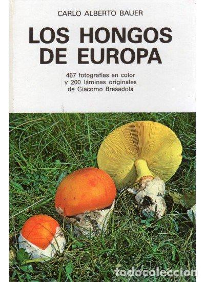 Libros: HONGOS EUROPA/OMEGA - BAUER