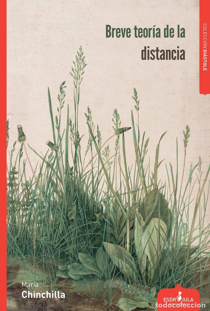 Libri: BREVE TEORIA DE LA DISTANCIA - CHINCHILLA, MARIA