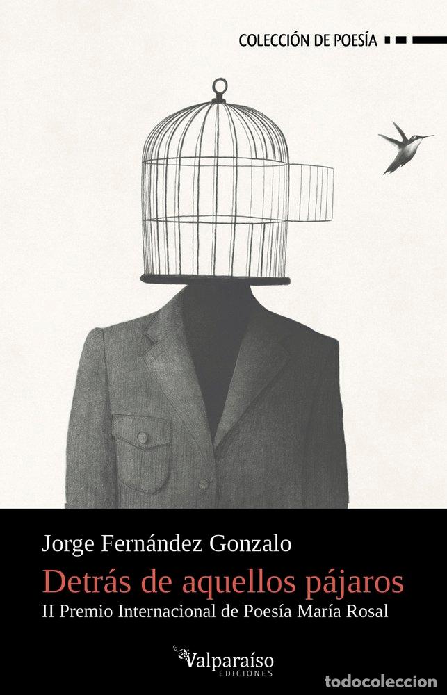 books: DETRAS DE AQUELLOS PAJAROS - FERNANDEZ GONZALO, JORGE