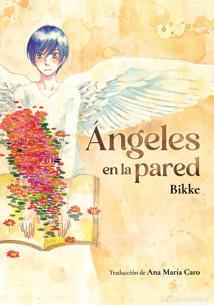 Libri: ANGELES EN LA PARED - BIKKE