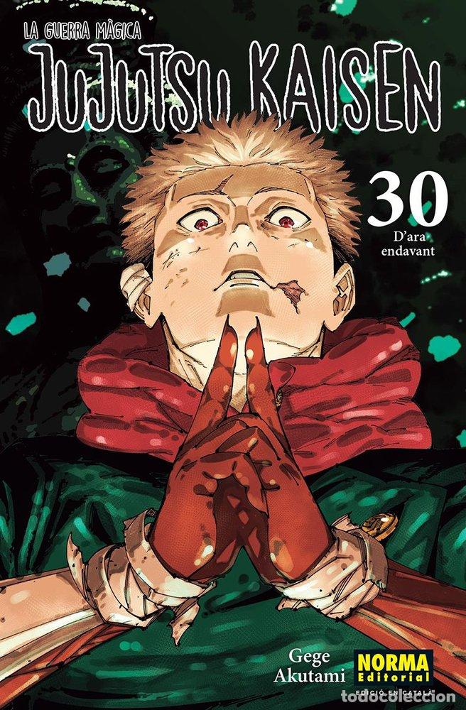 Libros: JUJUTSU KAISEN 30 - GEGE AKUTAMI