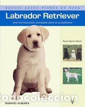 Livros: LABRADOR RETRIEVER (NUEVAS GUIAS PERROS DE RAZA) - KILGORE BAUER, NONA