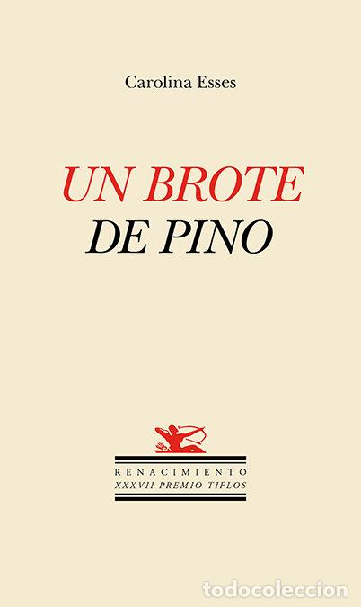 Libros: UN BROTE DE PINO - ESSES, CAROLINA