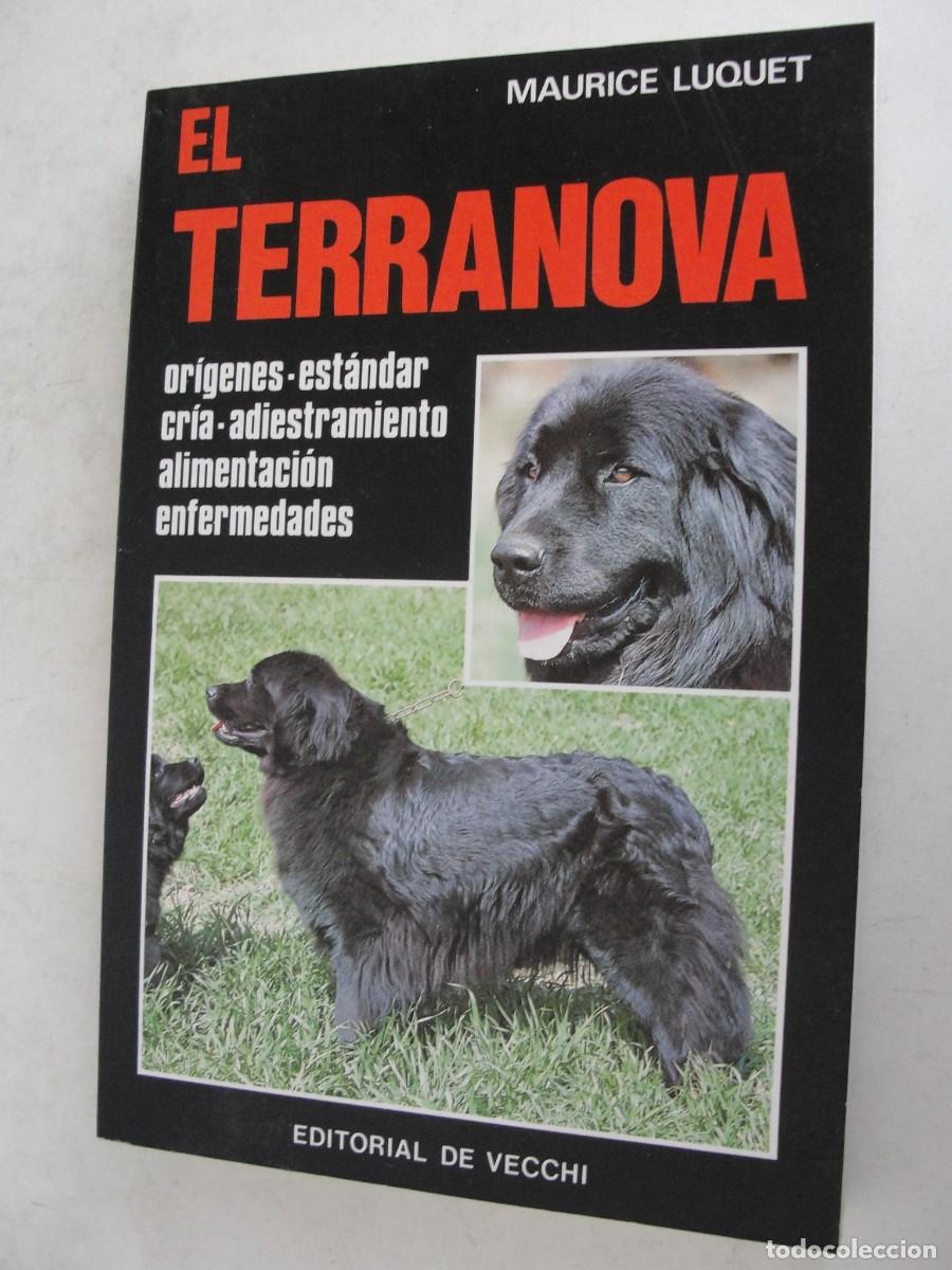Libri: EL TERRANOVA - LUQUET - CON FOTOGRAFIAS - DE VECCHI 1985 - COMO NUEVO DE HOY